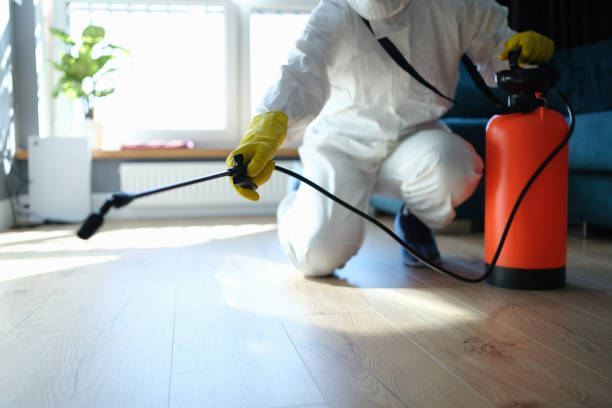 Flea Control Services in Hasson Heights, PA