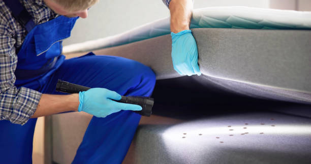Best Best Pest Control Companies  in Hasson Heights, PA