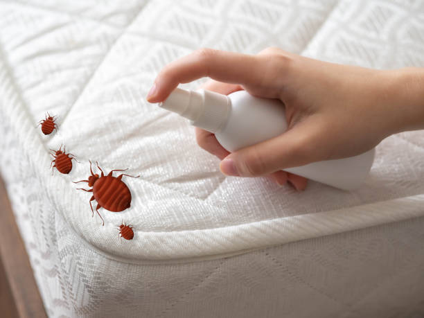 Pest Control Cost in Hasson Heights, PA