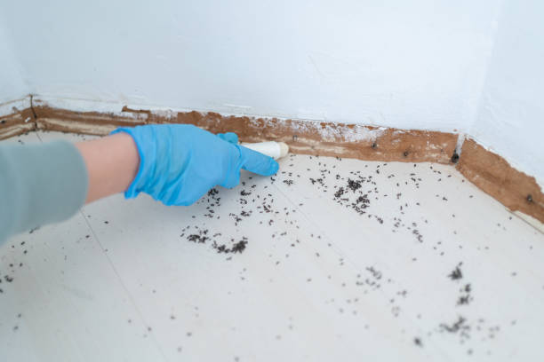 Best Pest Removal Services  in Hasson Heights, PA