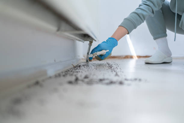 Best Pest Inspection Near Me  in Hasson Heights, PA